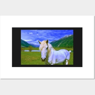 Horse in Wonderland / Swiss Artwork Photography Posters and Art